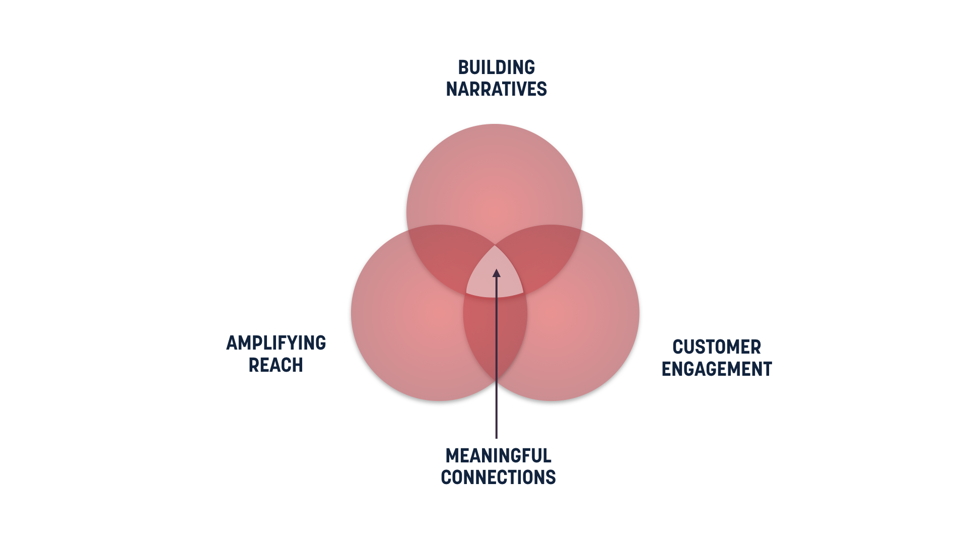 Venn Diagram
